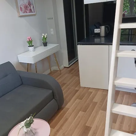 Kawalerka W Centrum Miasta شتشيتسين