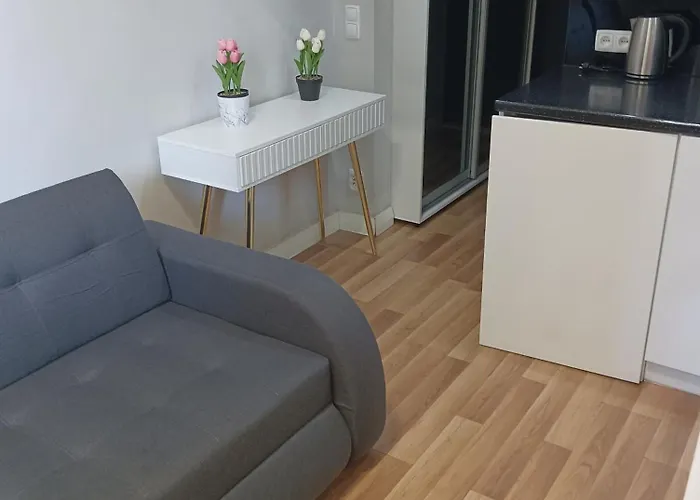 Kawalerka W Centrum Miasta * Szczecin