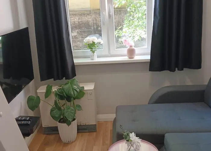 Kawalerka W Centrum Miasta *